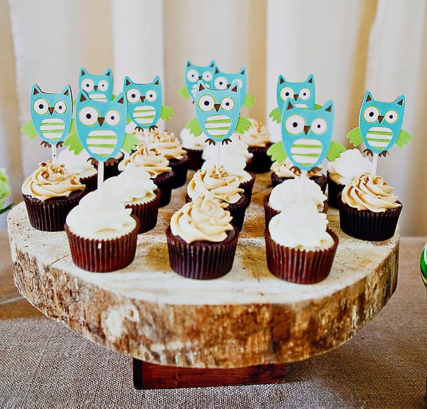 Owl Themed Baby Shower Cupcakes