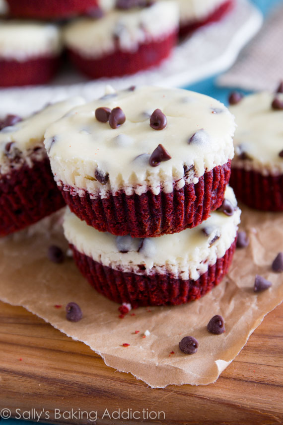 Red Velvet Mini Cheesecakes Red Velvet Mini Cheesecakes