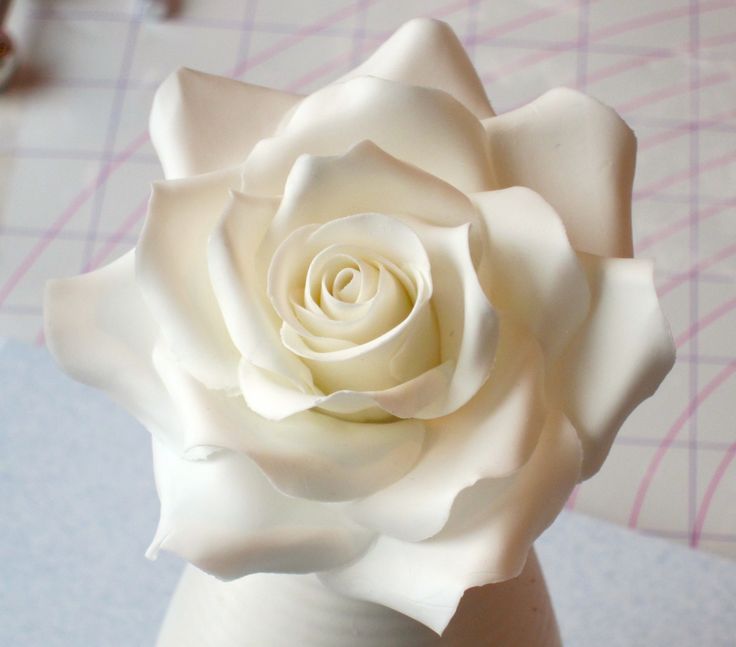 Rose Gum Paste Flowers Tutorials