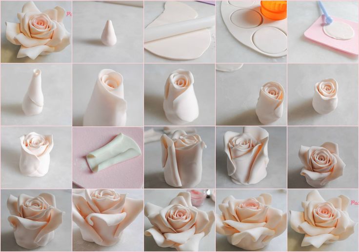 Tutorial Rose Cake Decorating