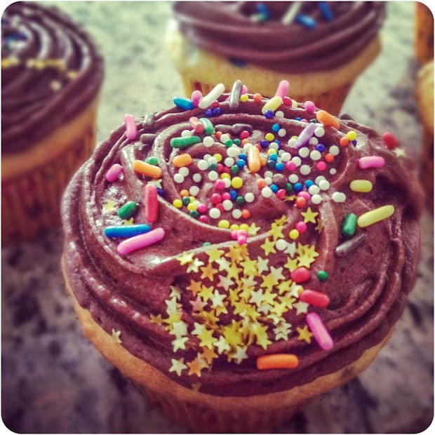 Yellow Cupcakes with Chocolate Frosting