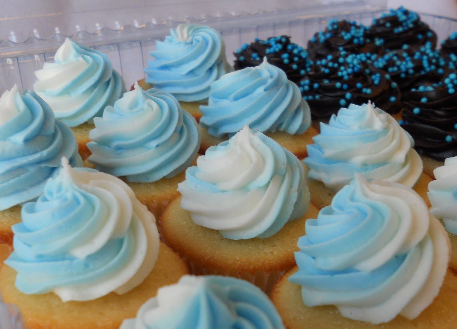 Blue and White Cupcakes with Frosting