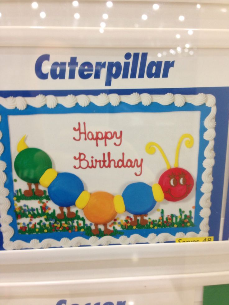 Caterpillar Sheet Cake Costco