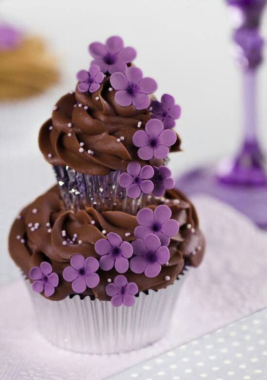 Chocolate Cupcakes