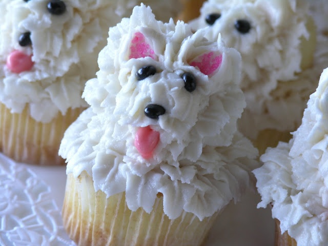 Cupcake Adorable Puppy