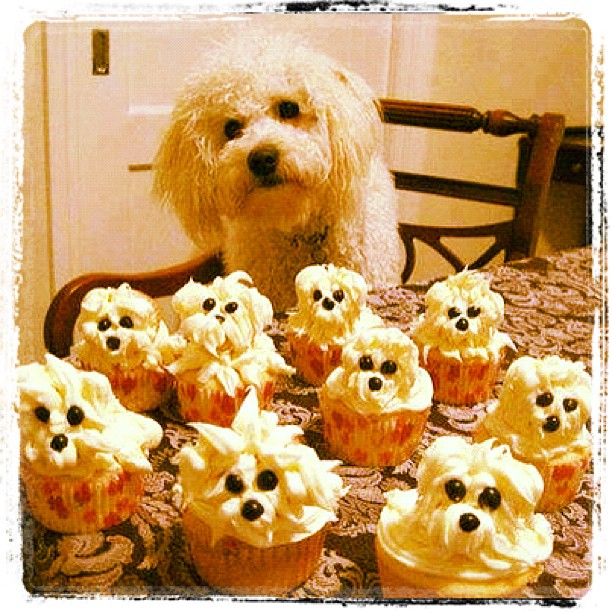 Cupcakes That Look Like Dogs