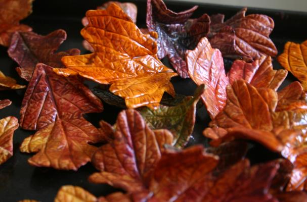 6 Photos of Fall Sugar Leaves For Cakes 6 Photos of Fall Sugar Leaves For Cakes