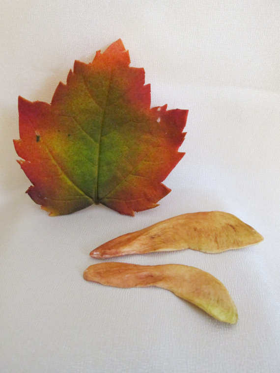 Fall Leaves Cake Decorations Edible Fall Leaves Cake Decorations Edible