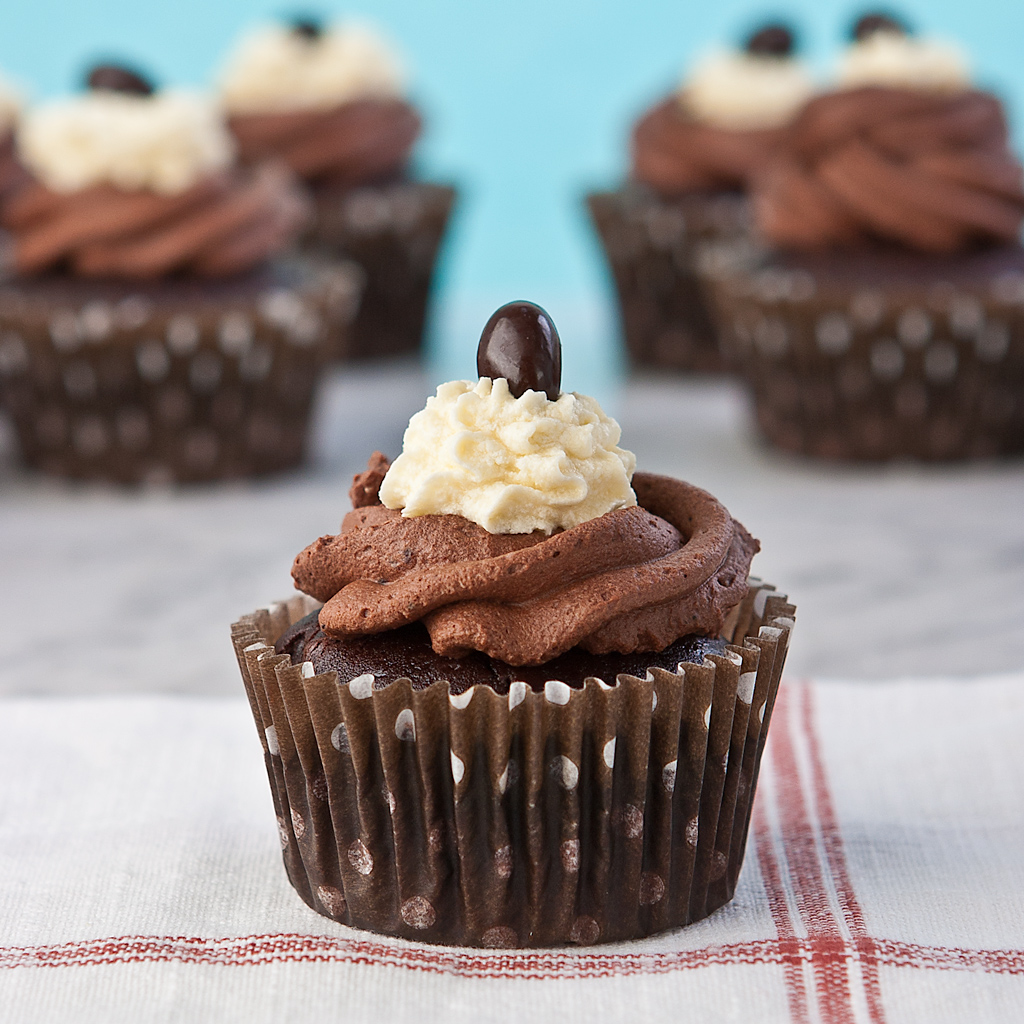 Gluten Free Chocolate Cupcake Recipe