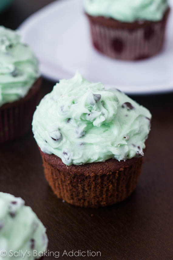 Mint Chocolate Chip Cupcakes with Frosting