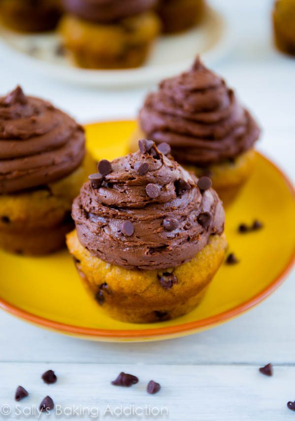 Moist Pumpkin Chocolate Chip Cupcakes Recipe