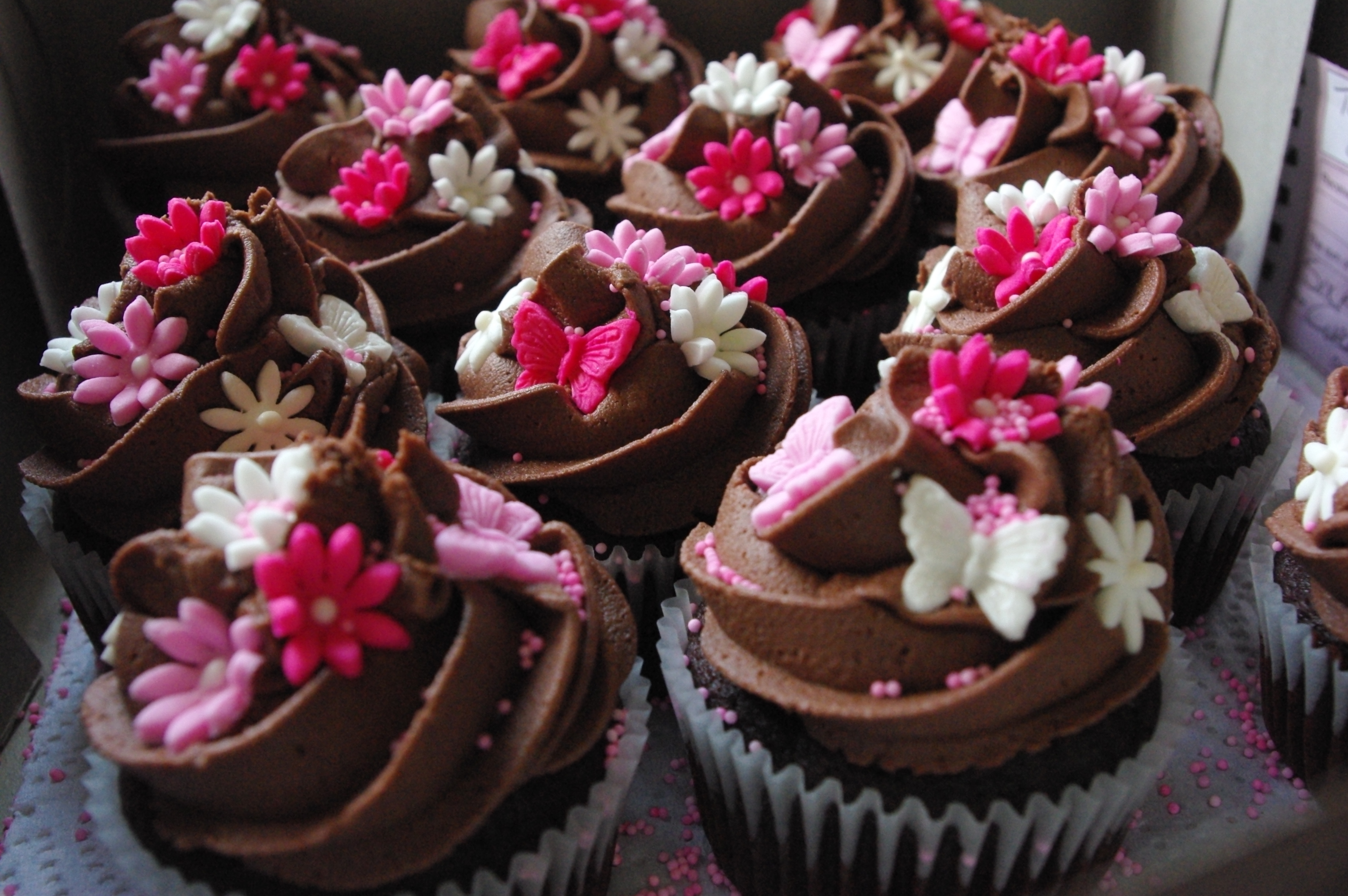 Pink and Chocolate Cupcakes with Vanilla Icing