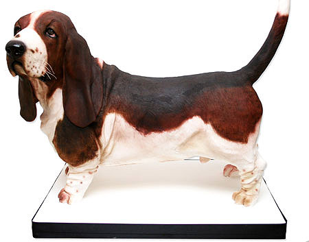 Realistic Dog Cake