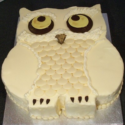 Snowy Owl Cake