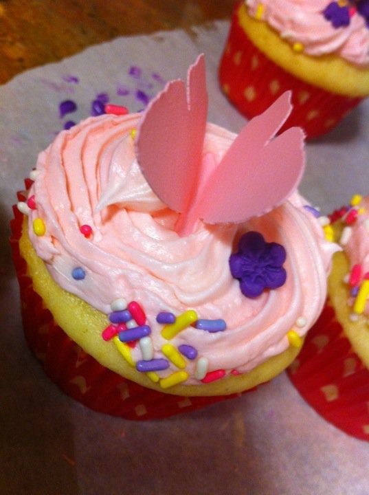 Sugar Cupcakes with Butterflies