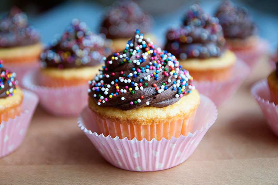 Yellow Cake with Chocolate Frosting and Sprinkles