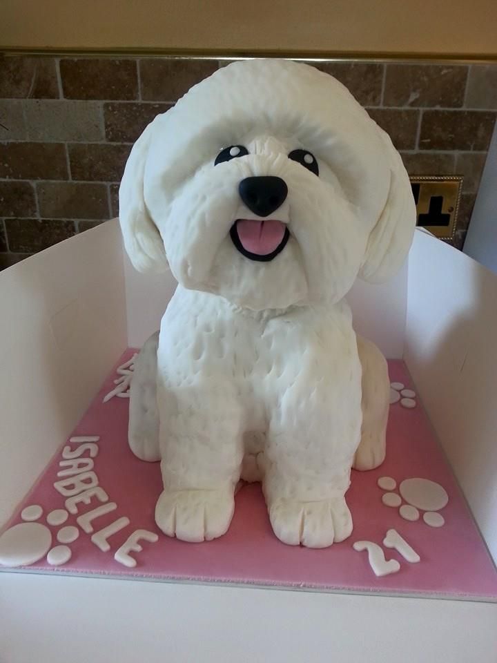 Bichon Frise Birthday Cake