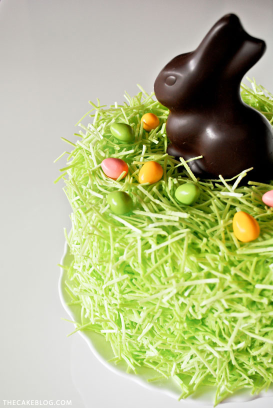 Chocolate Easter Bunny Cake