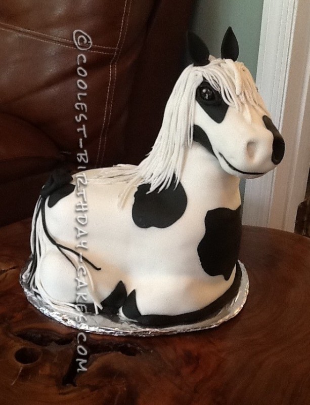 Coolest Horse Birthday Cake Ever