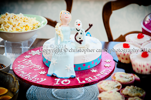 Disney Frozen Birthday Cakes Kroger Disney Frozen Birthday Cakes Kroger