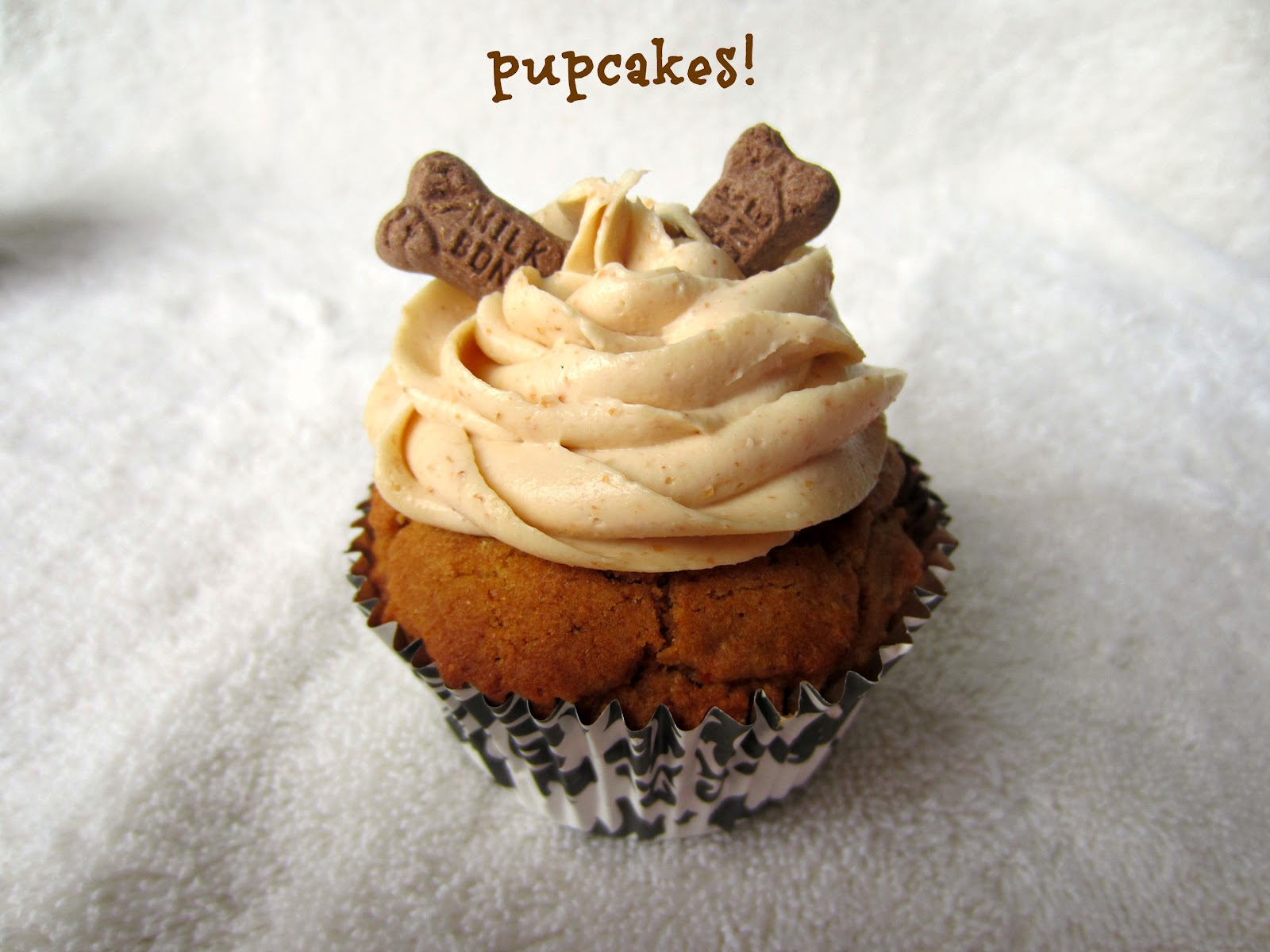 13 Dog Cupcakes For Dogs Photo Cupcakes That Look Like Dogs Puppy 4-ghost-captions-for-your-dog-photos-halloween-captions-dog-quotes