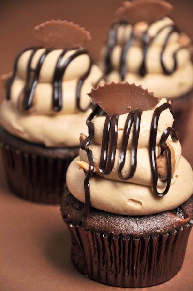 Gourmet Chocolate Cupcakes