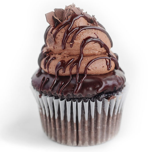 Gourmet Chocolate Cupcakes