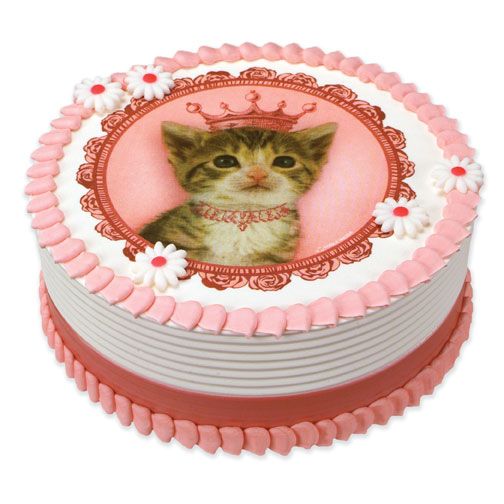 Kitten Birthday Party Cake