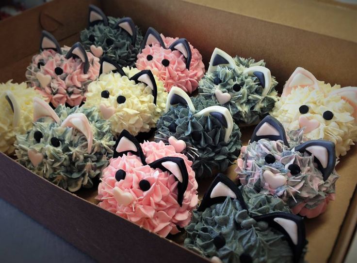 Kitty Cat Birthday Cake Ideas Kitty Cat Birthday Cake Ideas