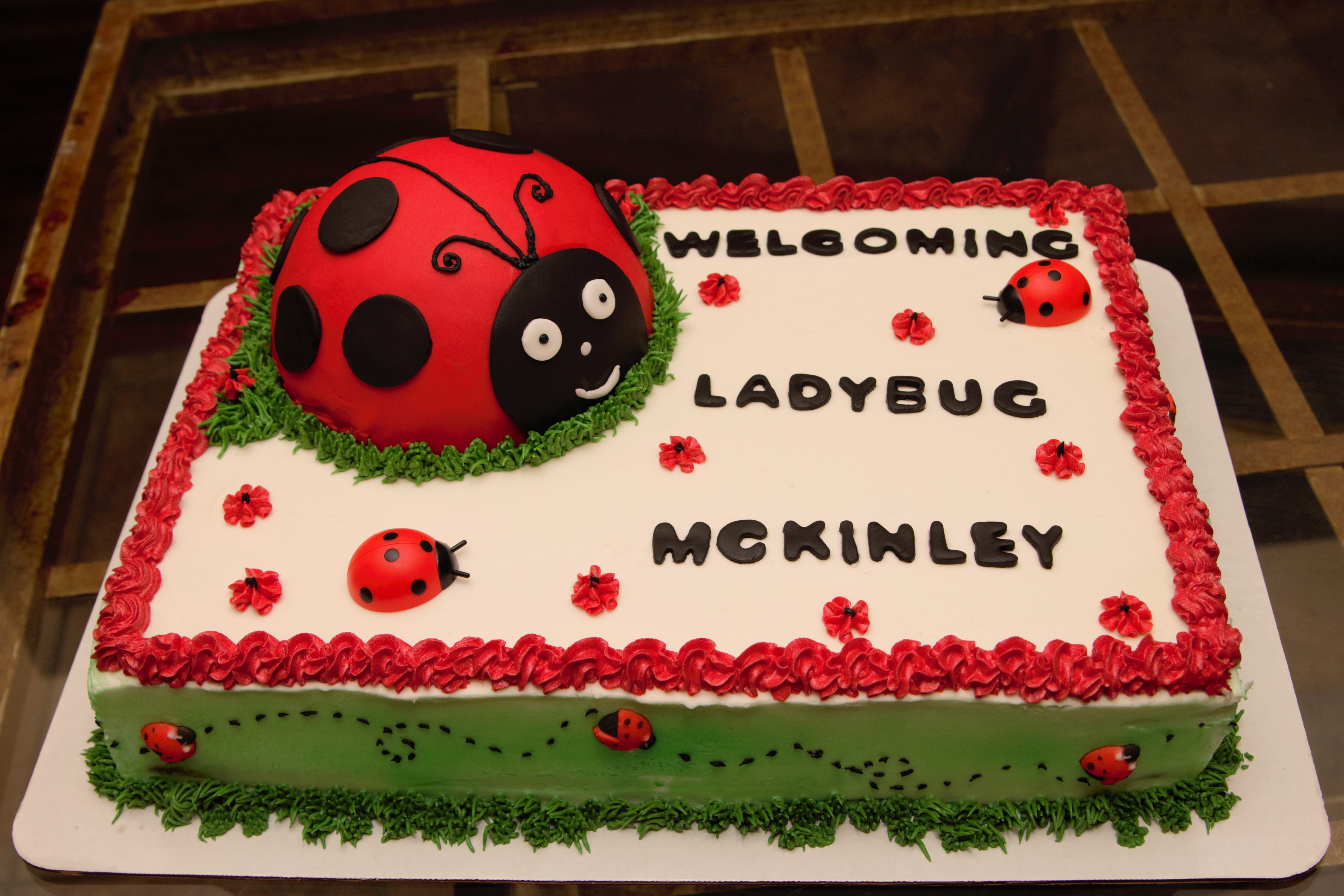 Ladybug Sheet Cake