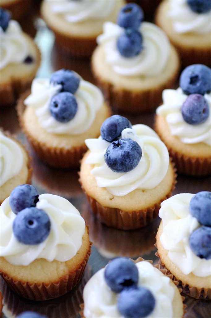 Mini Blueberry Cupcakes