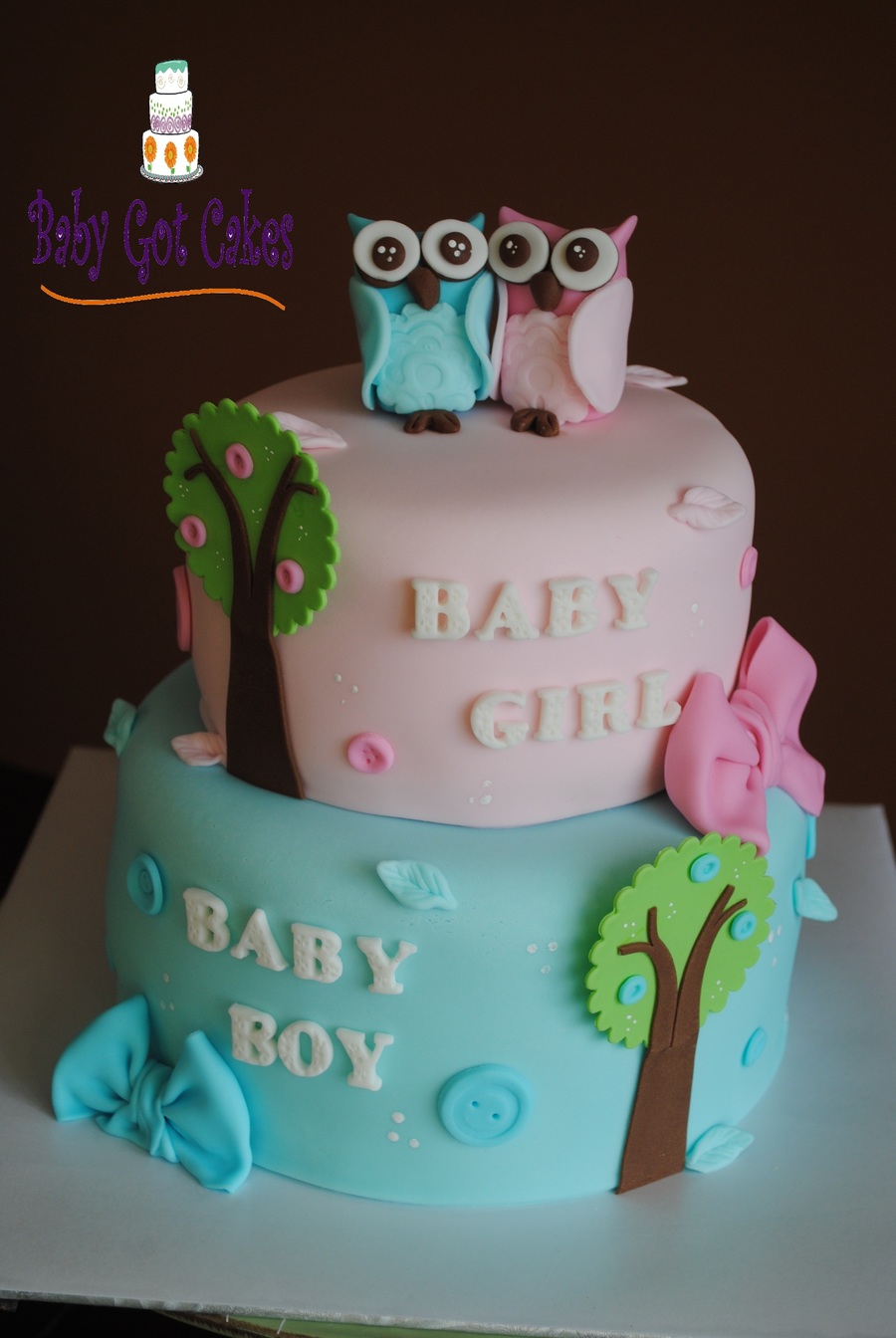 Twin Boy and Girl Baby Shower Cake Twin Boy and Girl Baby Shower Cake