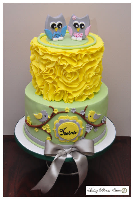 12 Photos of Twin Owl Baby Shower Cakes 12 Photos of Twin Owl Baby Shower Cakes