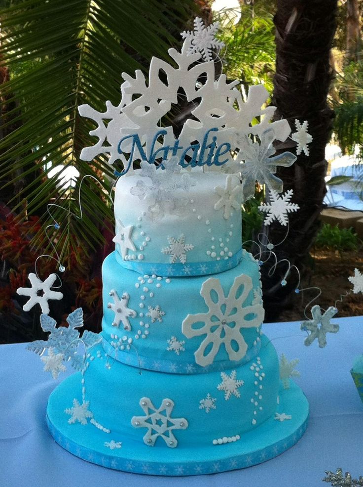 Winter Wonderland Theme Birthday Cake