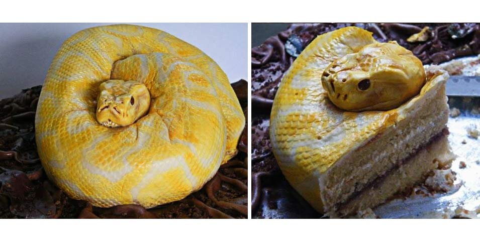 Cakes That Look Like Real Things