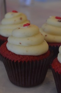 Cami Cakes Cami Cakes