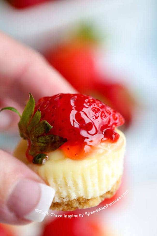 Chocolate Caramel Mini Cheesecakes