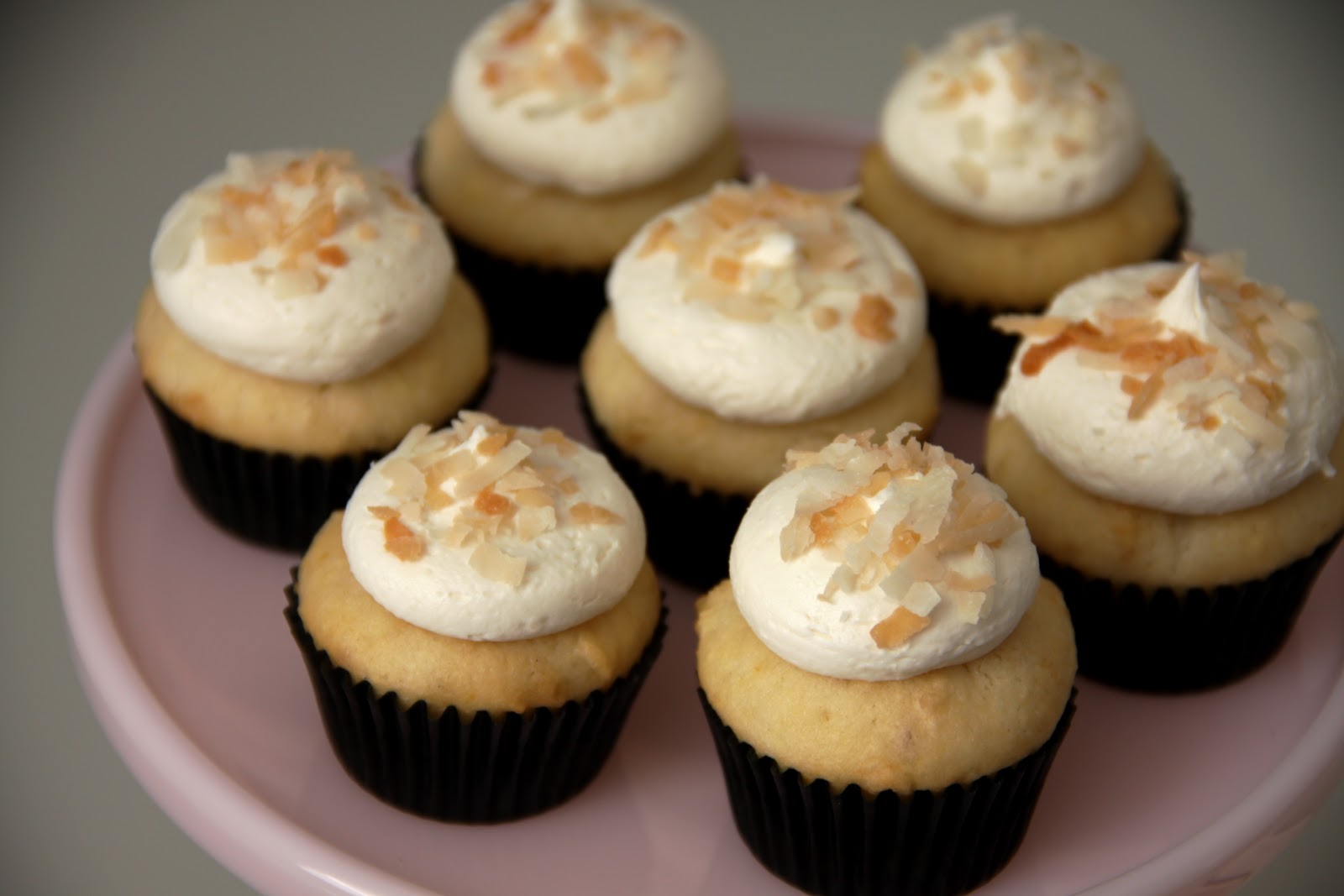 Chocolate Macadamia Nut Cupcake