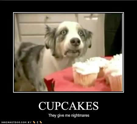 Cupcakes with Funny Captions