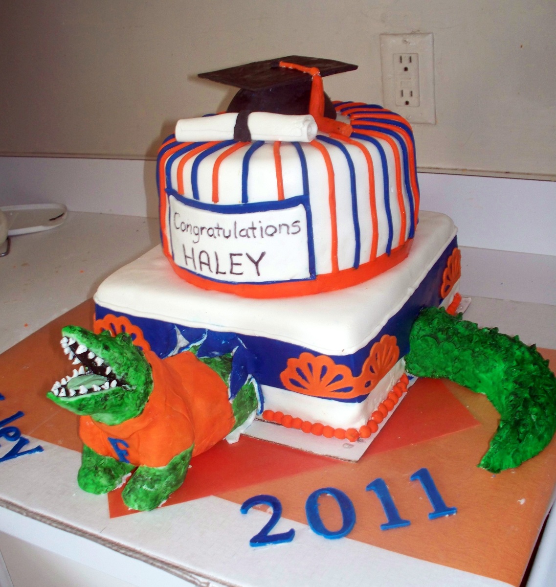 Florida Gator Cake Decorations