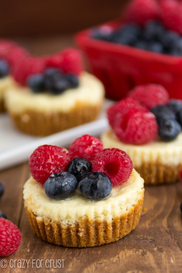 Fruit Mini Tart Cheesecakes