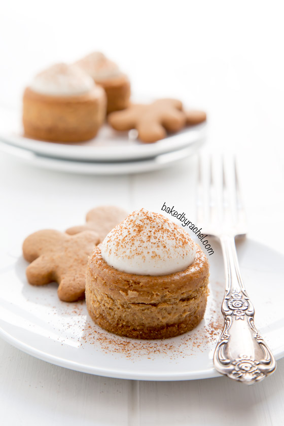 Holiday Dessert Recipes Cheesecake Holiday Dessert Recipes Cheesecake