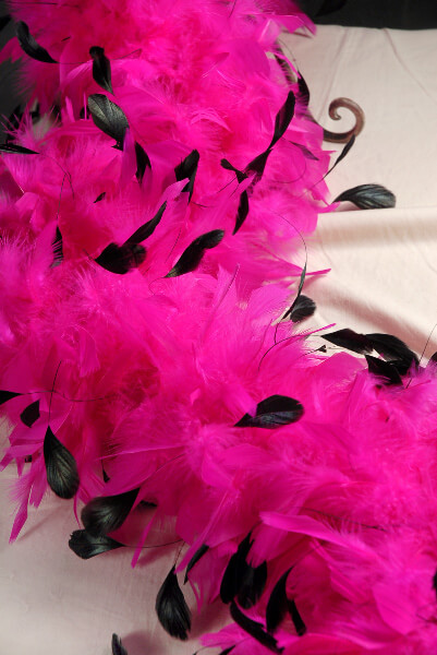Hot Pink and Black Feather Boas