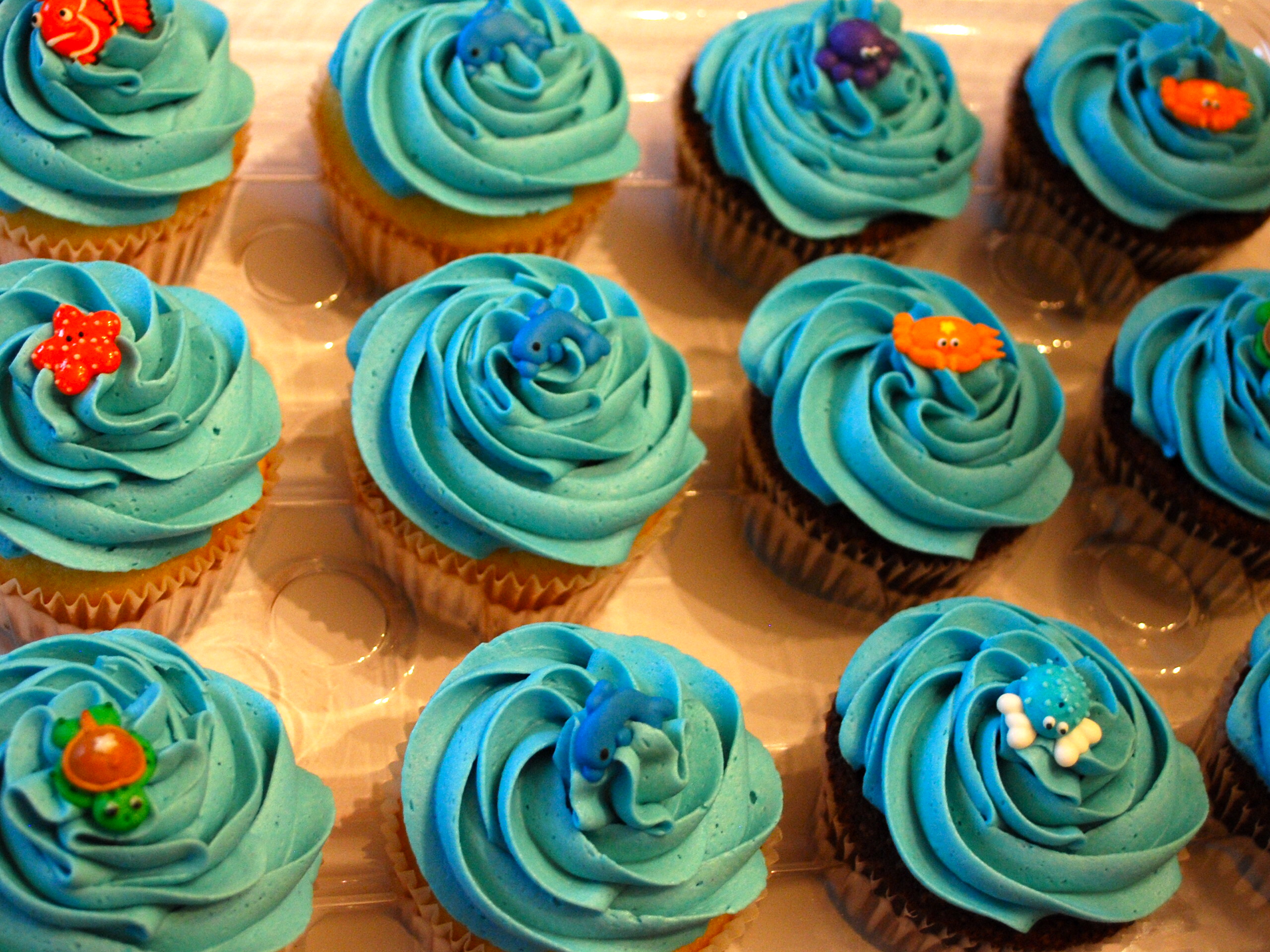 Ocean Themed Birthday Cupcakes