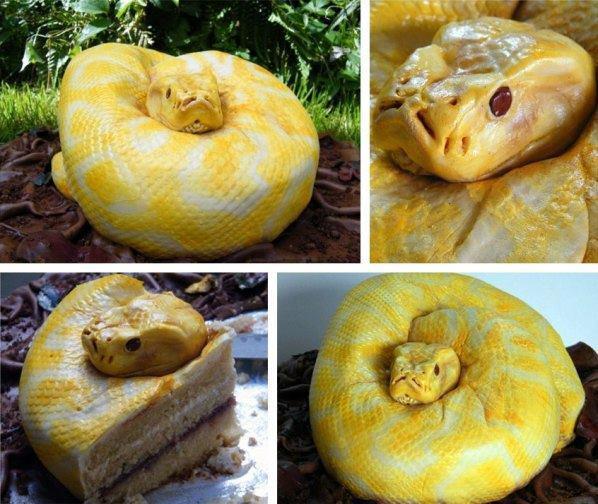 Realistic Snake Cake Realistic Snake Cake
