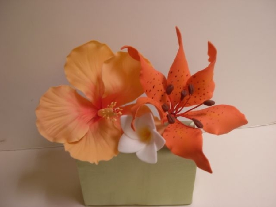 Tiger Lily and Hibiscus