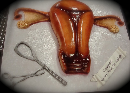 What Does a Real Uterus Look Like