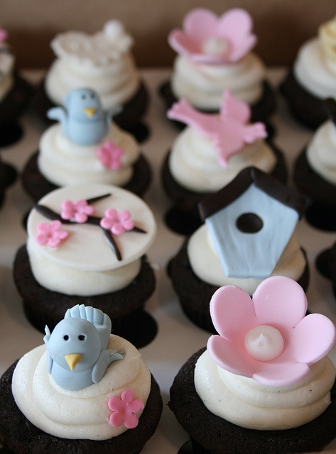 Baby Shower Bird Cupcakes