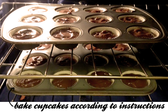 Baking Cupcakes in Oven