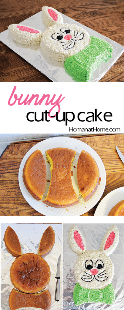 Easy Easter Bunny Cake Template